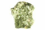 Sparkling Green Epidote with Quartz Crystals - Turkey #301741-1